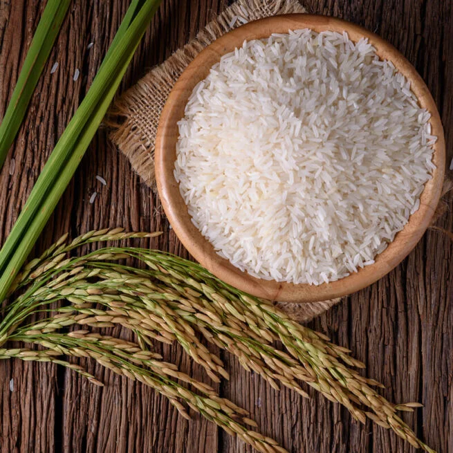 Jasmine White Organic Rice